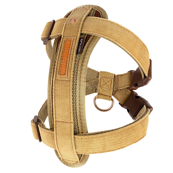 Luxury Dog Accessories