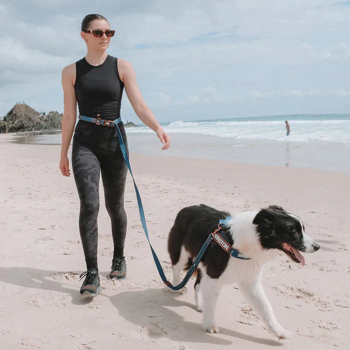 Hands Free Dog Leads