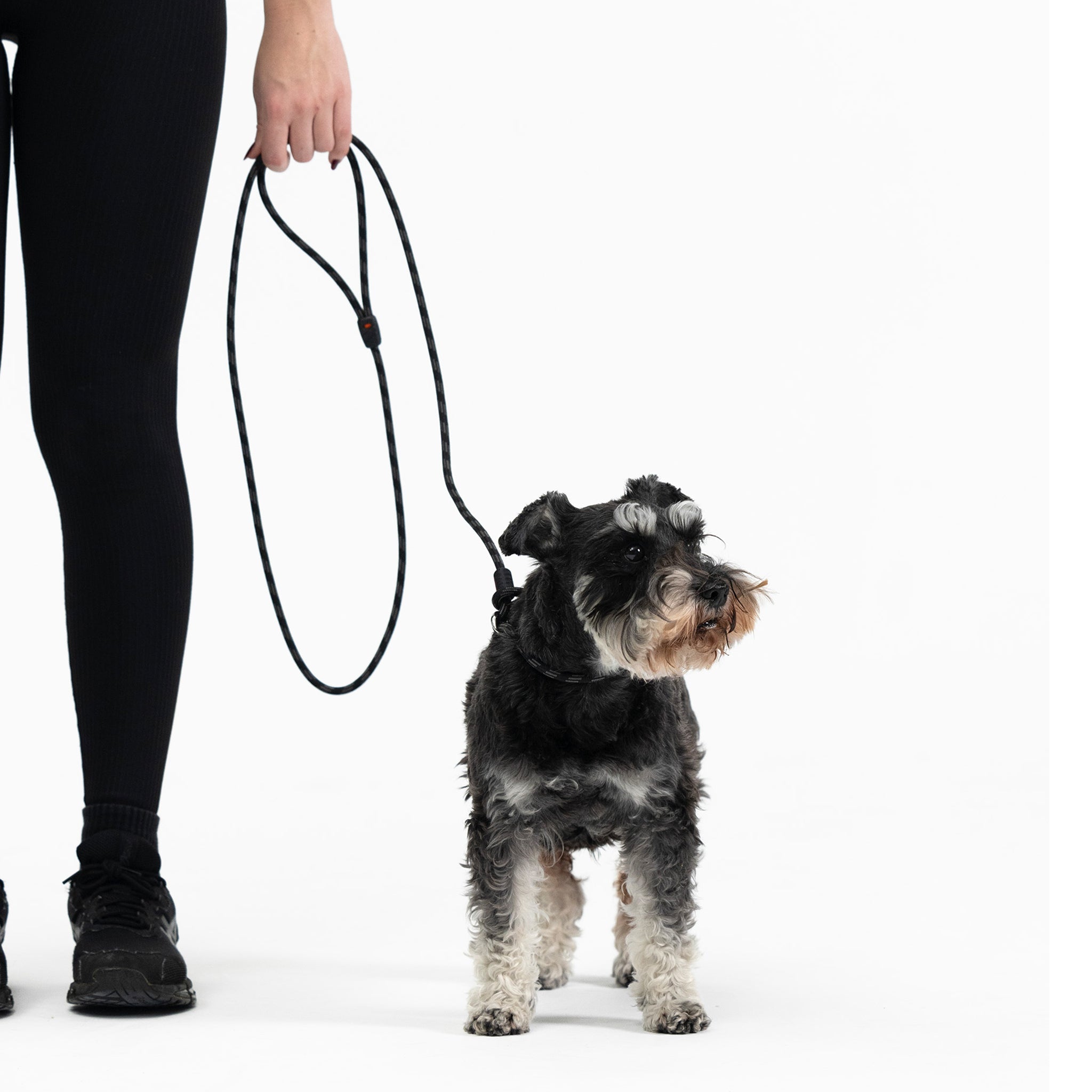 Luca Leash LITE