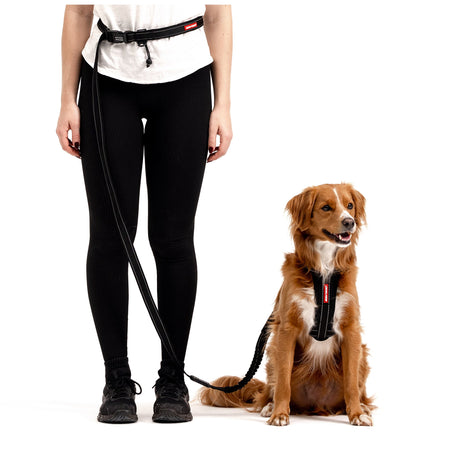 Road Runner Leash | Hands-Free Dog Lead