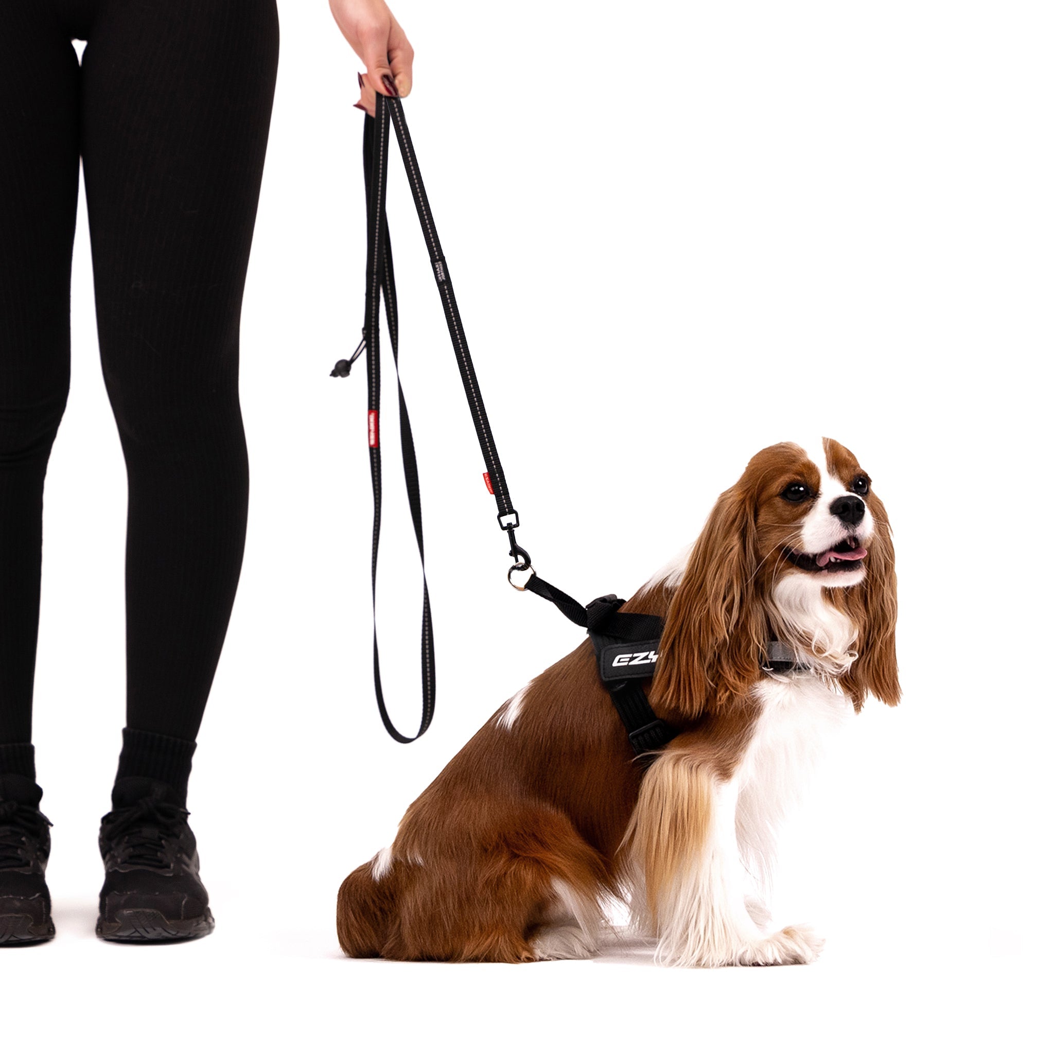 Soft Trainer Leash LITE - Camo