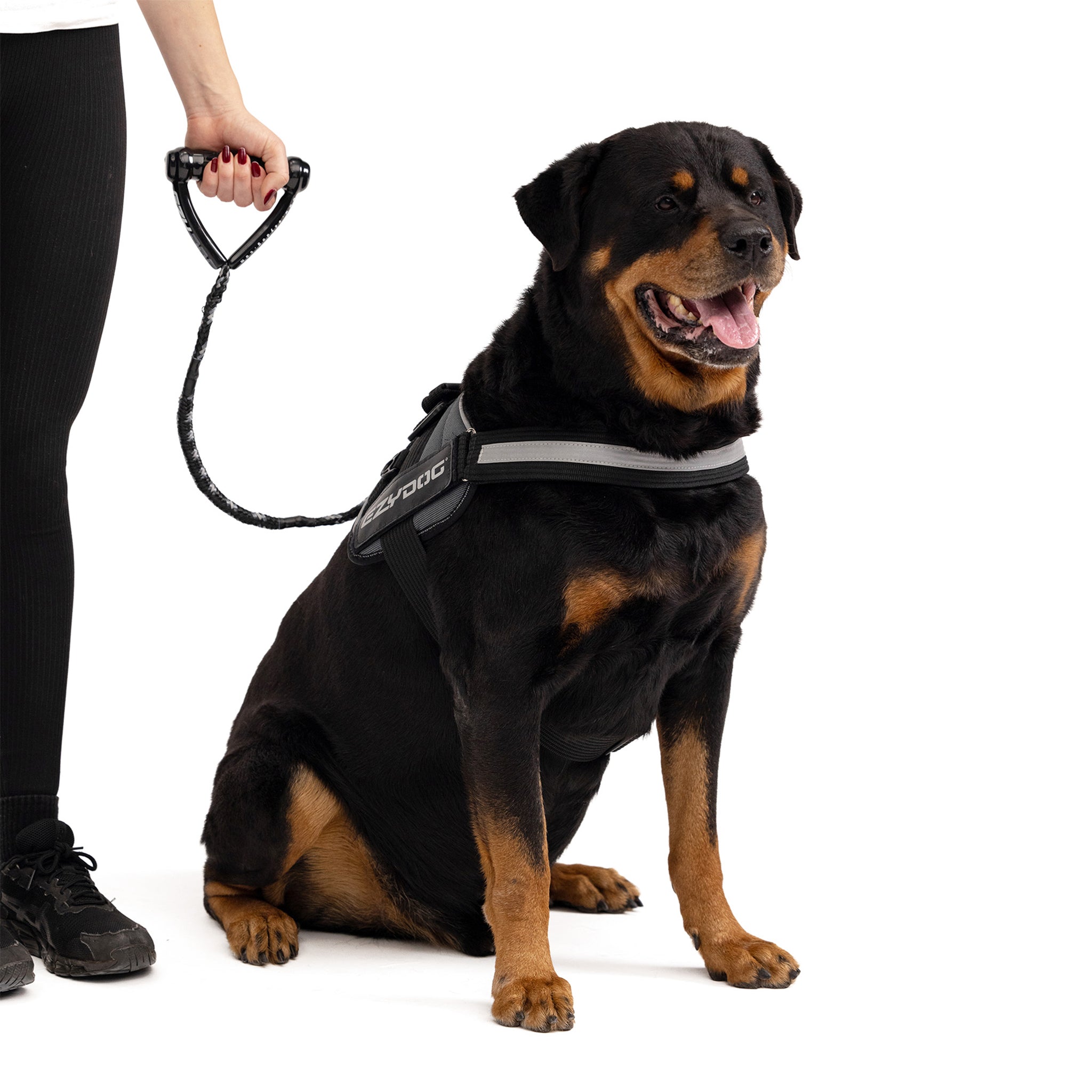 Cujo Leash