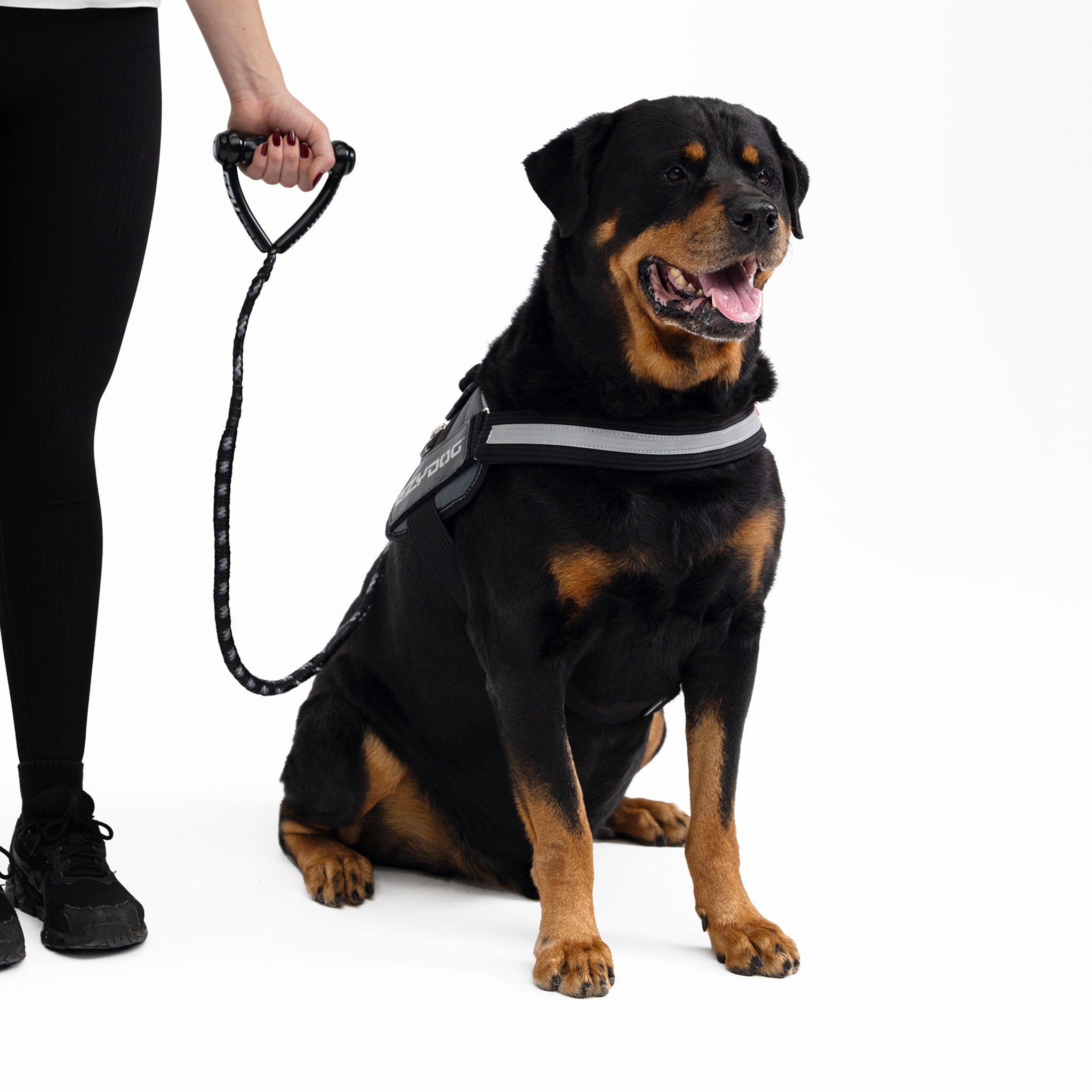 Cujo Leash