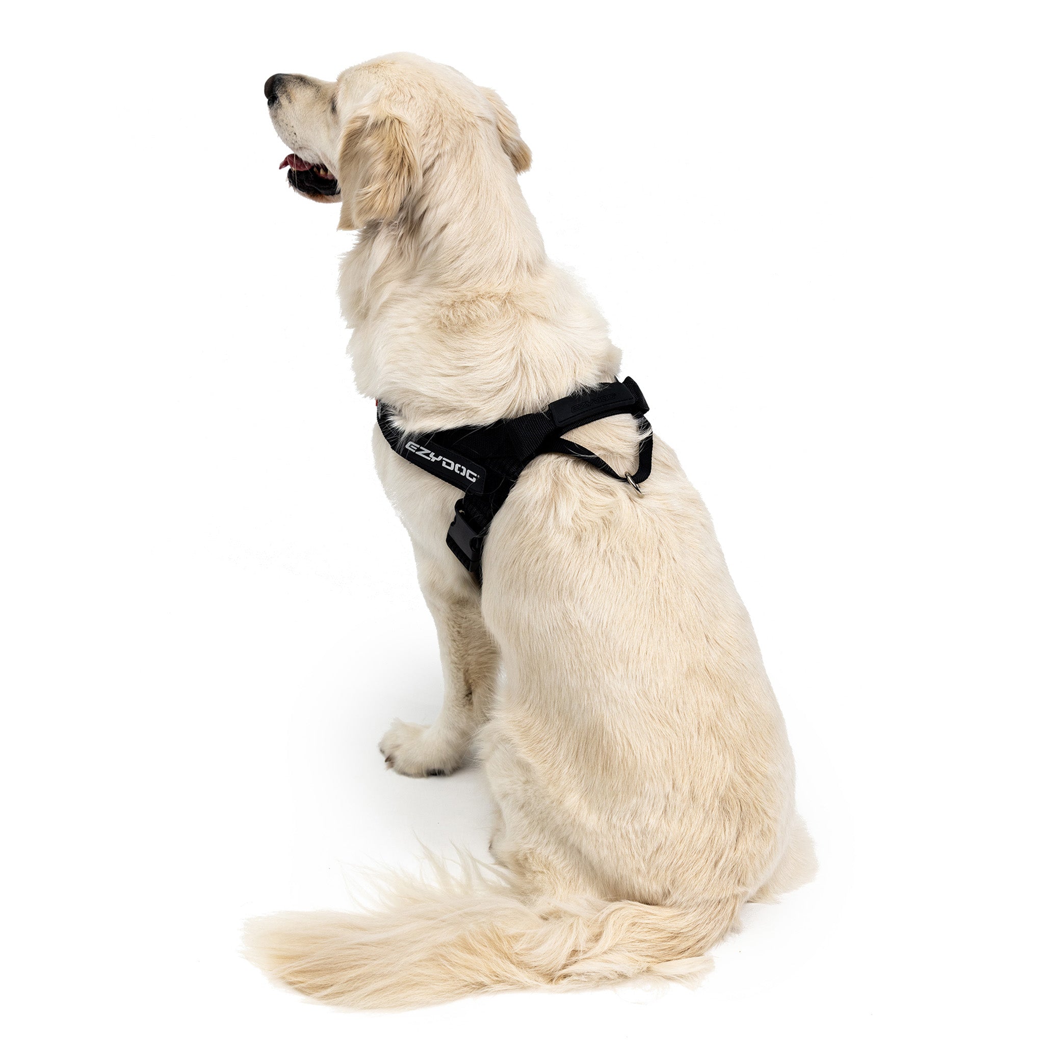 Express Harness