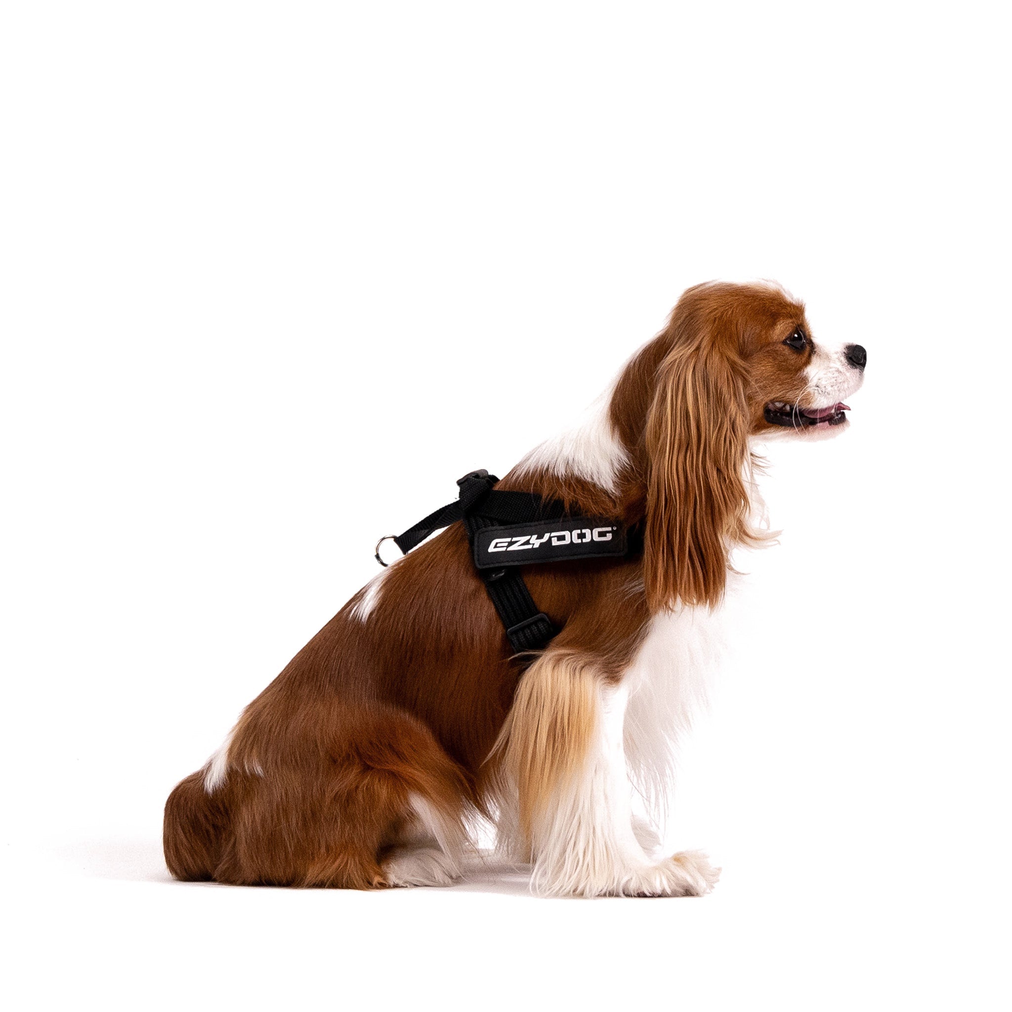 Express Harness