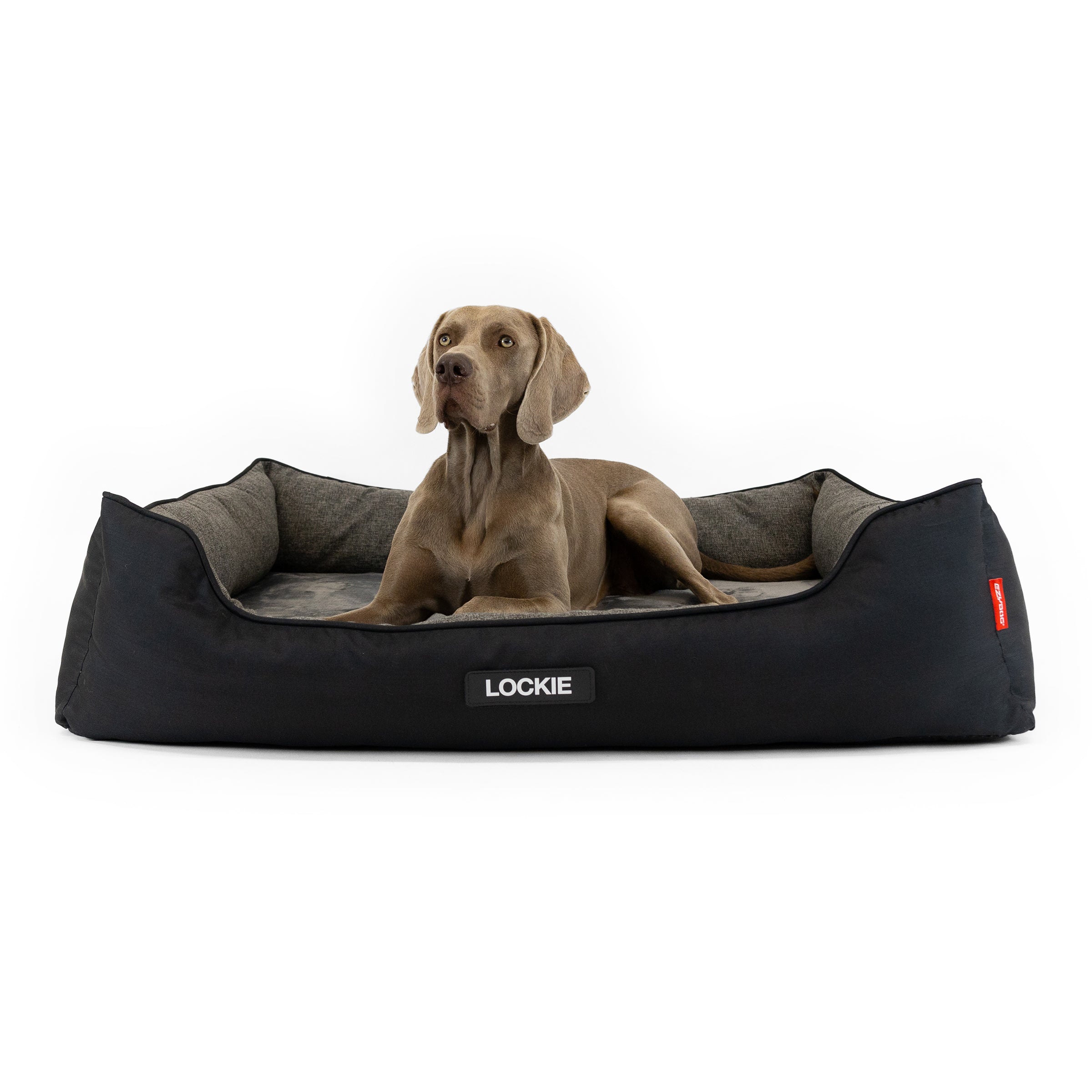 2 in 1 Ortho Smart Dog Bed