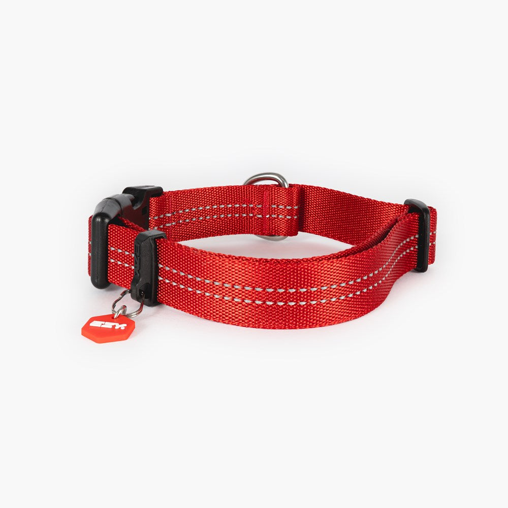 Red dog collar with a black buckle and a small red tag on a white background