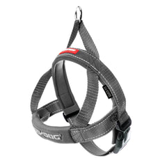 Quick Fit Dog Harness