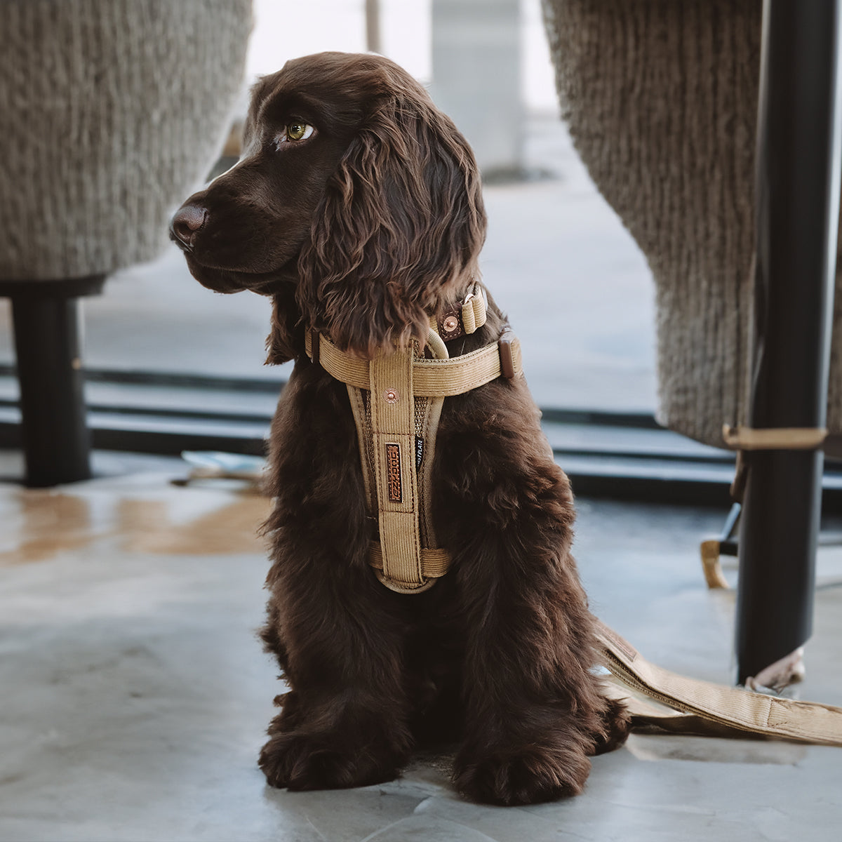 Chest Plate Harness - Camo