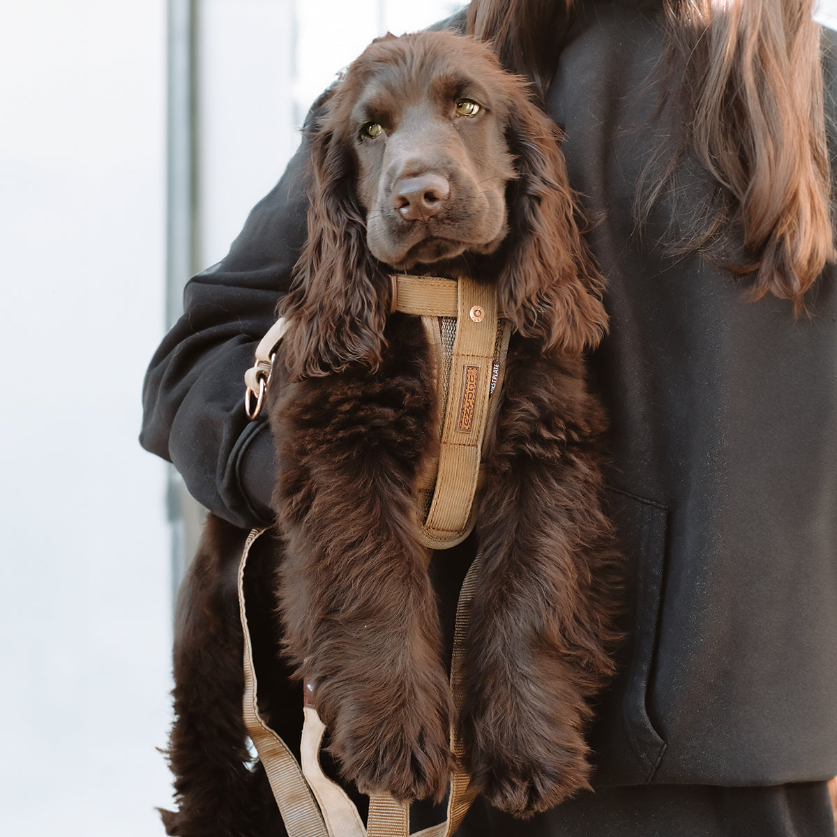 Chest Plate Dog Harness - Denim