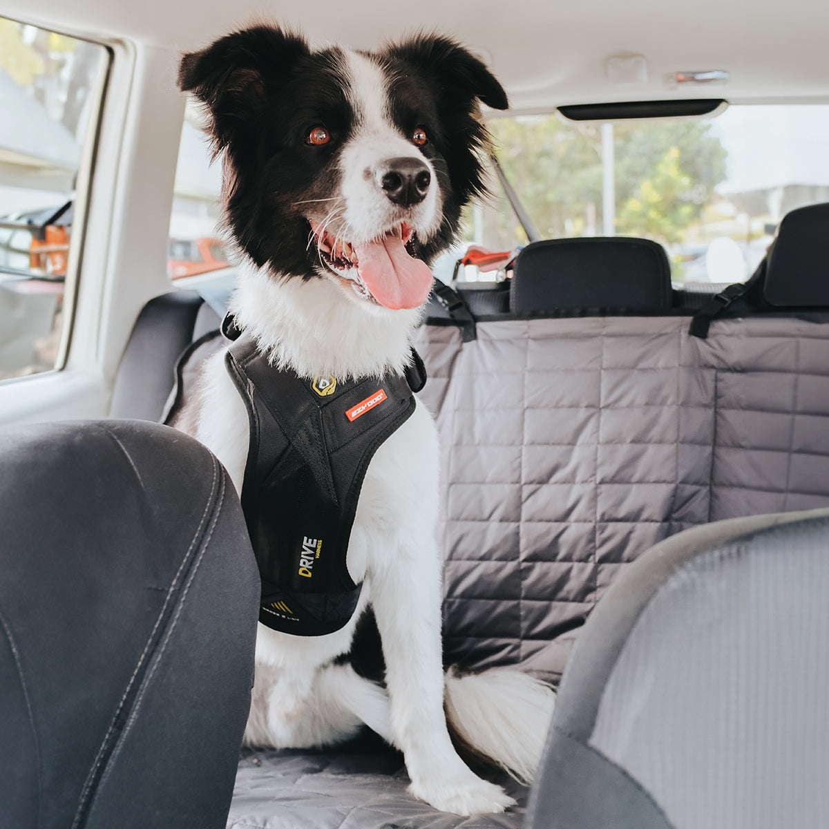 Drive Car Harness