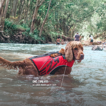 DFD X2 Boost | Dog Life Jacket for Swimming & Water Safety