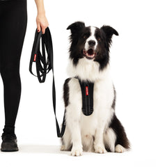 Track N Train 5m Long Training Dog Lead