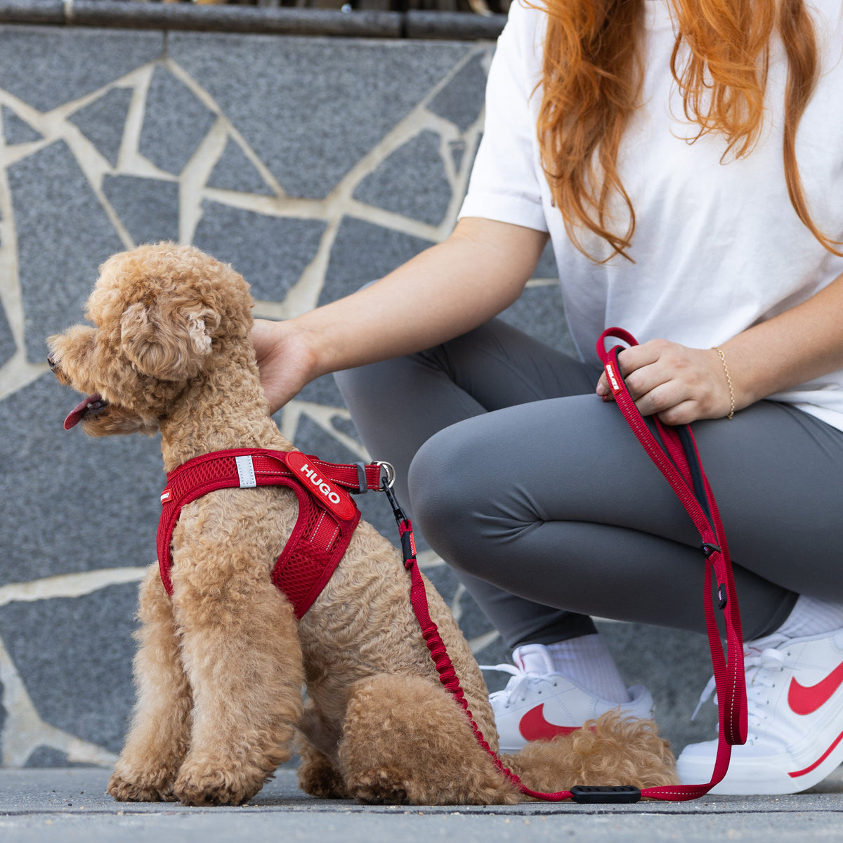 FORMFIT® Mesh Harness