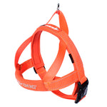 Quick Fit Dog Harness