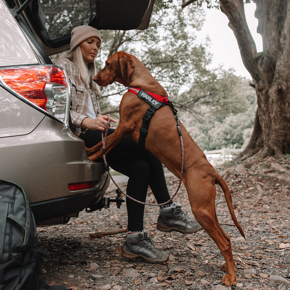 Summit Leash