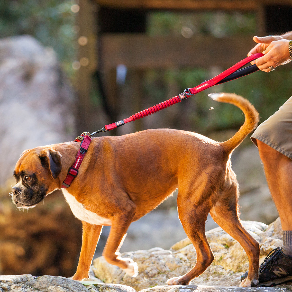 Zero Shock Leash