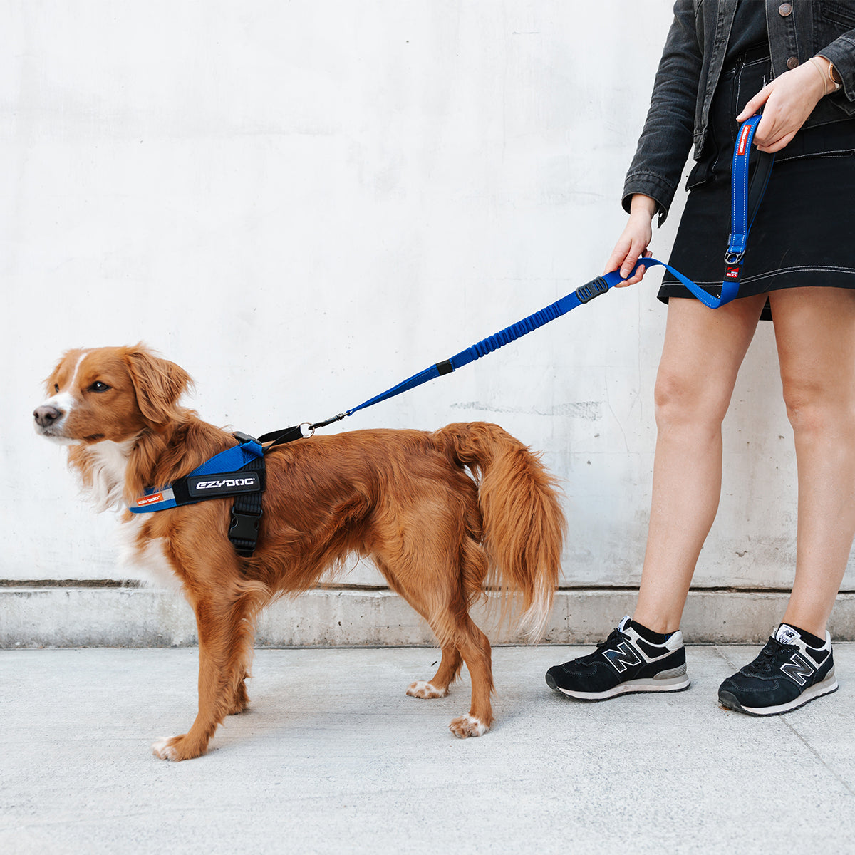 Zero Shock Leash